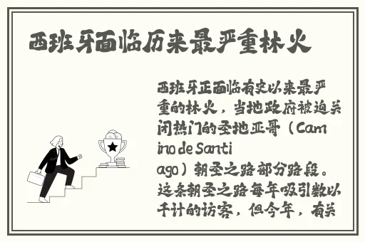 坤坤放进定眼里